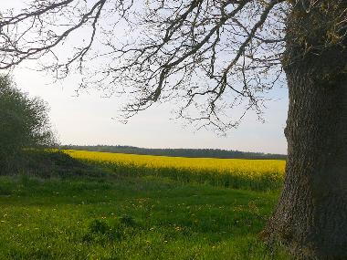 Landschaft hinterm Haus