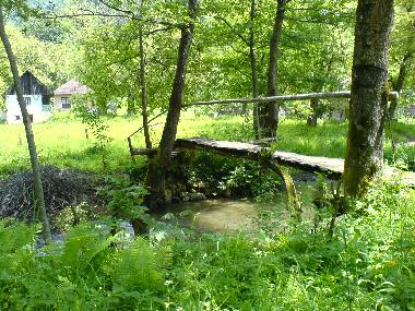 Ferienhaus in uibaresti (Hunedoara) oder Ferienwohnung oder Ferienhaus