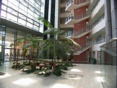Ferienwohnung in herzliya pituach (Tel Aviv) oder Ferienwohnung oder Ferienhaus