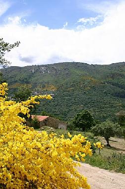 Ferienhaus in Faia, Guarda (Serra da Estrela) oder Ferienwohnung oder Ferienhaus