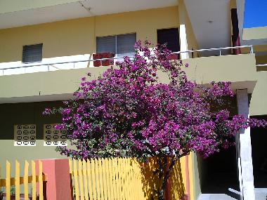 Ferienhaus in La Cienaga (Barahona) oder Ferienwohnung oder Ferienhaus