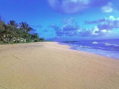 Ferienhaus in Kapaa (Hawaii) oder Ferienwohnung oder Ferienhaus