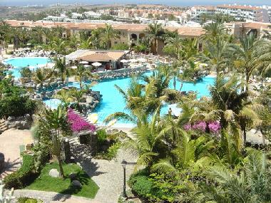 Blick �ber Palm Oasis