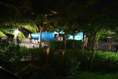 Palm Oasis in der Nacht