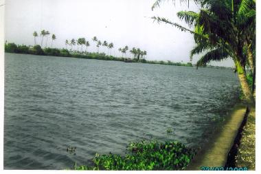 Boot in KOTTAYAM (Kerala) oder Ferienwohnung oder Ferienhaus