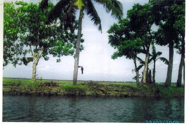 Boot in KOTTAYAM (Kerala) oder Ferienwohnung oder Ferienhaus