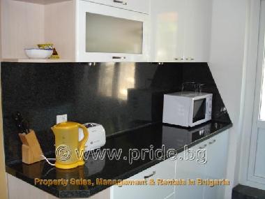 Ferienhaus in Tsurkva (Dobrich) oder Ferienwohnung oder Ferienhaus