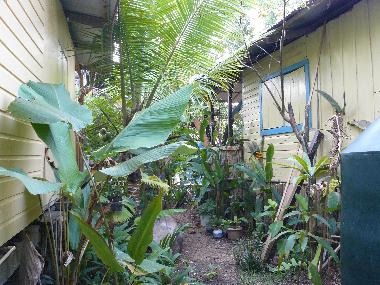 Ferienhaus in Bocas (Bocas del Toro) oder Ferienwohnung oder Ferienhaus