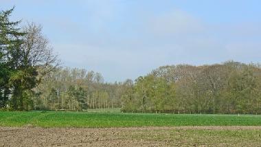 Ferienhaus in Knesselare / Ursel (Flandern) oder Ferienwohnung oder Ferienhaus
