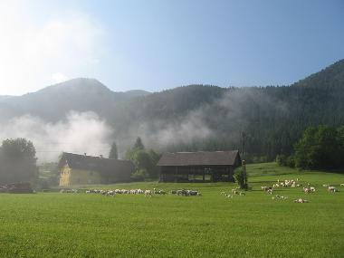 Ferienwohnung in Bohinjska Bistrica (Bohinj) oder Ferienwohnung oder Ferienhaus