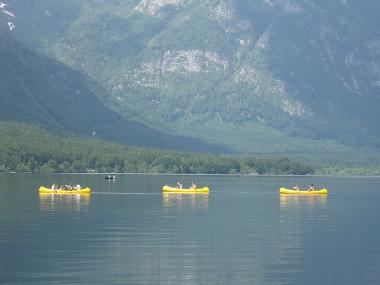 Ferienwohnung in Bohinjska Bistrica (Bohinj) oder Ferienwohnung oder Ferienhaus