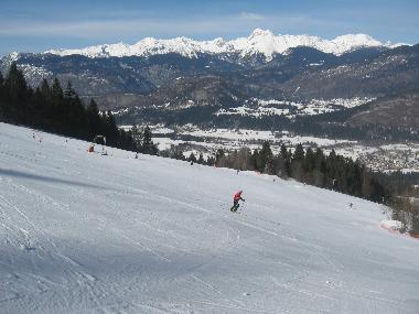 Ferienwohnung in Bohinjska Bistrica (Bohinj) oder Ferienwohnung oder Ferienhaus