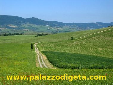 Ferienhaus in Castiglione d'Orcia (Siena) oder Ferienwohnung oder Ferienhaus