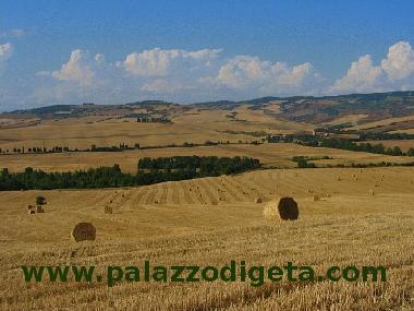 Ferienhaus in Castiglione d'Orcia (Siena) oder Ferienwohnung oder Ferienhaus
