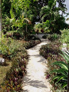 Pension in Negril (Westmoreland) oder Ferienwohnung oder Ferienhaus