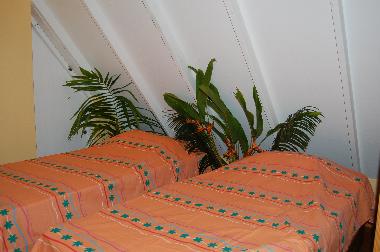 Chalet in las galeras samana (Samana) oder Ferienwohnung oder Ferienhaus