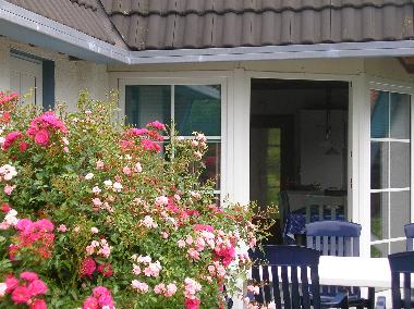 Ferienhaus in Dorum (Land zwischen Elbe u. Weser) oder Ferienwohnung oder Ferienhaus