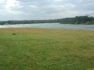 Gro�er Garten direkt am See Vergi�meinnicht