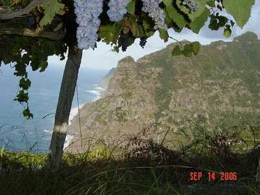 Ferienhaus in Boaventura (Madeira) oder Ferienwohnung oder Ferienhaus