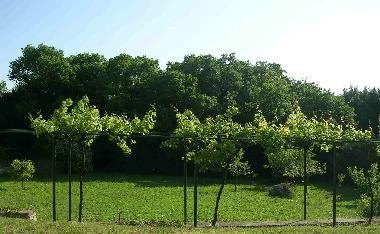 Ferienhaus in san felice circeo (Latina) oder Ferienwohnung oder Ferienhaus