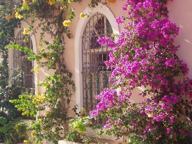 Ferienhaus in Agadir (Agadir) oder Ferienwohnung oder Ferienhaus