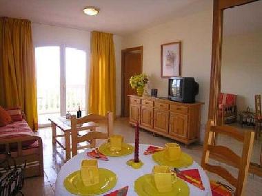 Ferienwohnung in Teneriffa/Sued (Teneriffa) oder Ferienwohnung oder Ferienhaus