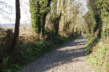 Ferienhaus in  Gorey (Wexford) oder Ferienwohnung oder Ferienhaus
