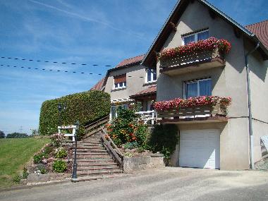 Die Obstg�rten