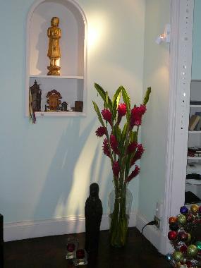 Pension in Rio de Janeiro Flamengo/Botafogo (Rio de Janeiro) oder Ferienwohnung oder Ferienhaus