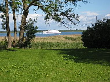 Blick vom Haus auf Zingst