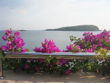Ferienhaus in Molunat near Dubrovnik (Dubrovacko-Neretvanska) oder Ferienwohnung oder Ferienhaus
