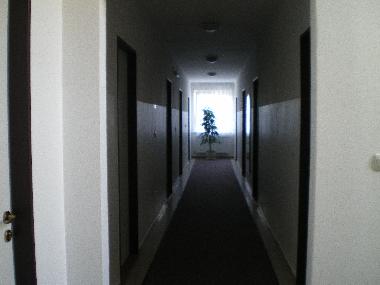 Pension in LEOPOLDSDORF/MARCHFELDE (Wien) oder Ferienwohnung oder Ferienhaus