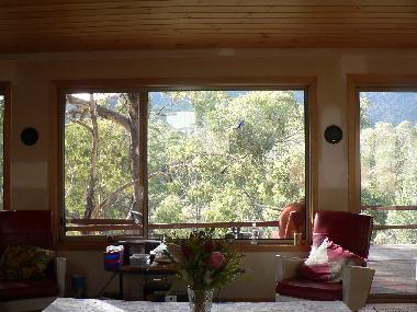 Ferienhaus in Suggan Buggan (Victoria) oder Ferienwohnung oder Ferienhaus
