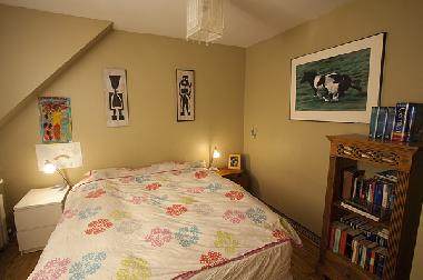 Ferienwohnung in Reykjavik (Reykjavik) oder Ferienwohnung oder Ferienhaus