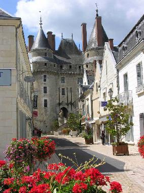 Ferienhaus in Langeais (Centre) oder Ferienwohnung oder Ferienhaus