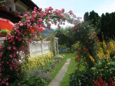 Eingang in den Garten durch den sch�nen Rosenbogen