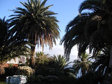 Ferienhaus in Canico de Baixo (Madeira) oder Ferienwohnung oder Ferienhaus