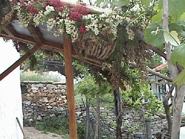 Ferienhaus in Rahoni (Kavala) oder Ferienwohnung oder Ferienhaus
