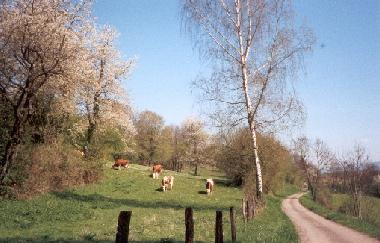 Ferienhaus in Lure (Haute-Sa�ne) oder Ferienwohnung oder Ferienhaus