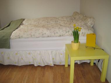 Ferienhaus in Laugarvatn (Arnessysla) oder Ferienwohnung oder Ferienhaus