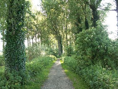 Ferienhaus in DAMME (Flandern) oder Ferienwohnung oder Ferienhaus