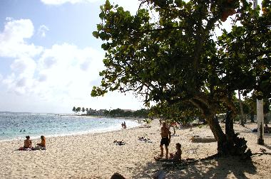 Ferienwohnung in Saint Francois  (Guadeloupe) oder Ferienwohnung oder Ferienhaus