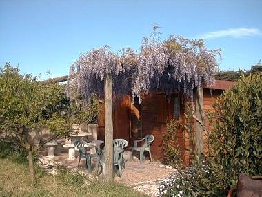 Ferienhaus in HYERES (Var) oder Ferienwohnung oder Ferienhaus