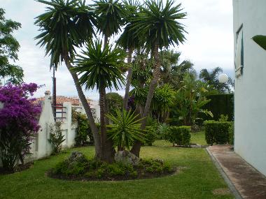 Ferienwohnung in San Pedro de Alc�ntara (M�laga) oder Ferienwohnung oder Ferienhaus
