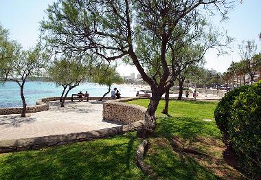 Ferienwohnung in Cala Millor (Mallorca) oder Ferienwohnung oder Ferienhaus