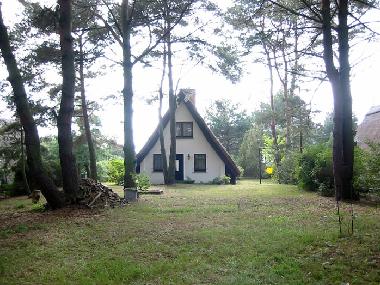 Das Ferienhaus Finnh�tte Hanka zur Waldseite