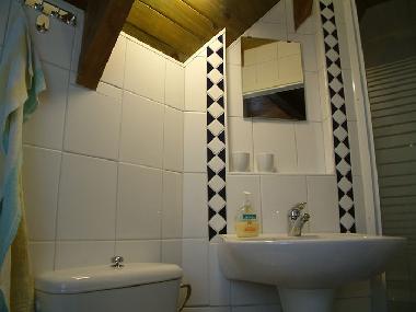 Das Bad mit Dusche und WC