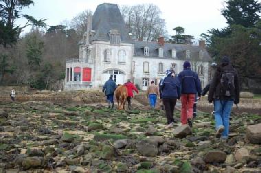 Pension in DOUARNENEZ (Finist�re) oder Ferienwohnung oder Ferienhaus