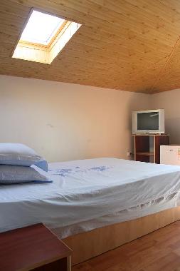 Pension in Navodari (Constanta) oder Ferienwohnung oder Ferienhaus