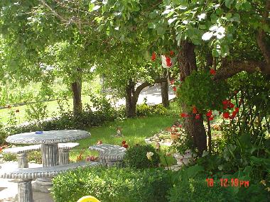 Ferienhaus in Insel-Rab (Primorsko-Goranska) oder Ferienwohnung oder Ferienhaus